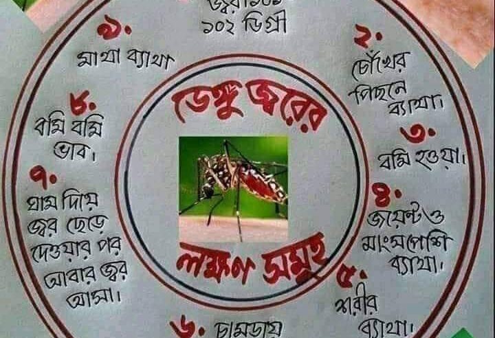 ডেঙ্গু জ্বরের লক্ষণ ও প্রতিকার সমূহ