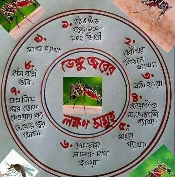 ডেঙ্গু জ্বরের লক্ষণ ও প্রতিকার সমূহ